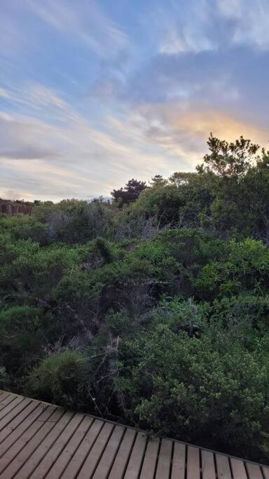 Tunquen - Travesia Austral *
